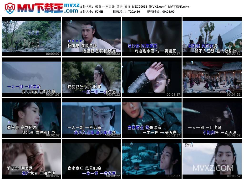 张勇-一别天涯_国语_流行_MEC00658